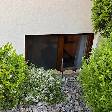 Near Europa-park & Black Forest Apartment